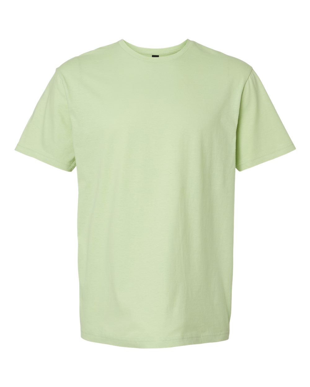 Gildan 64000 in Pistachio